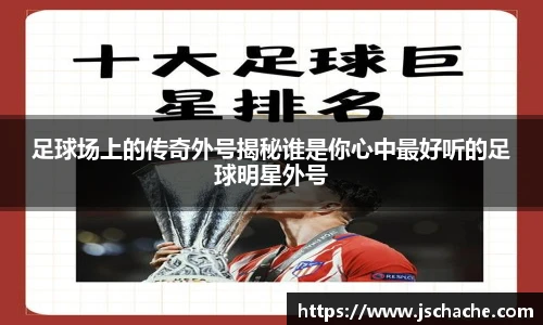 星空·综合体育官方网站