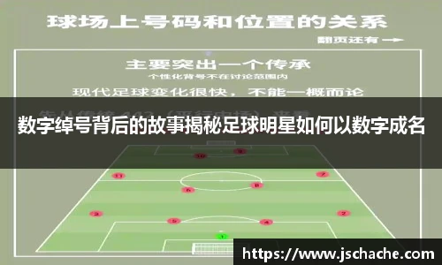 星空·综合体育官方网站